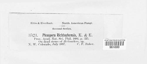 Pleospora richtophensis image